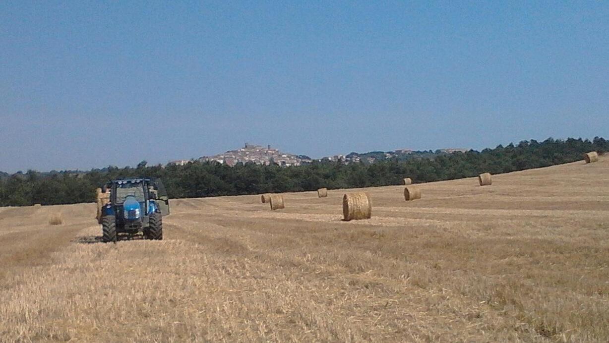 Il Laghetto Agriturismo Villa Manciano Eksteriør bilde